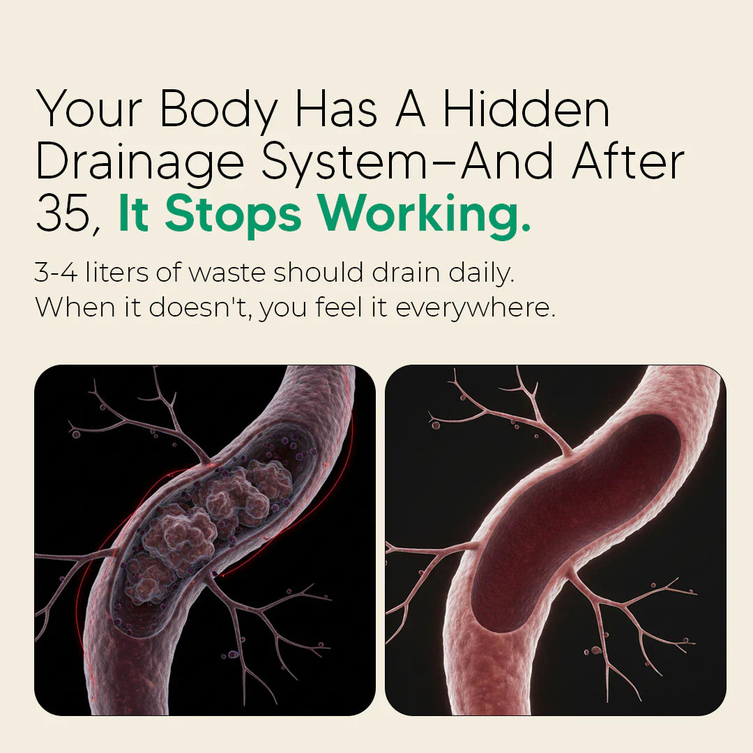 New Maximum Potency Formula - Lymphatic Drainage Capsules by Laventra™